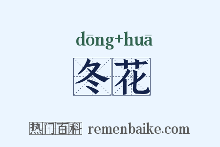 冬花是什么意思的图片
